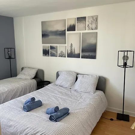 Apartment Magnifique Duplex Avec 2 Et Parking Gratuit Grenoble