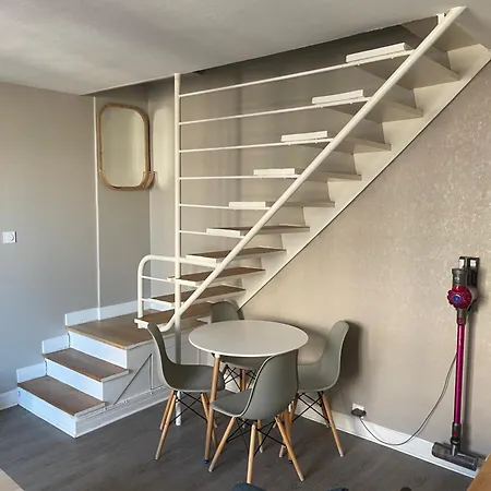 Magnifique Duplex Avec 2 Et Parking Gratuit Grenoble