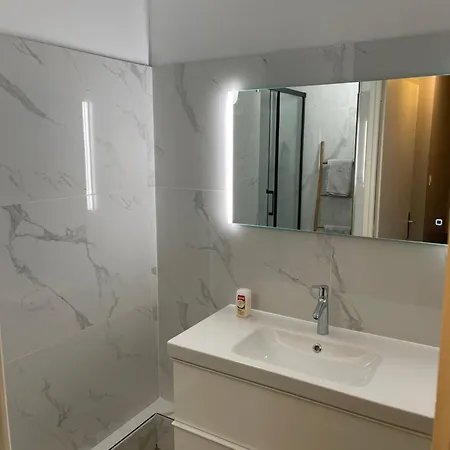 Magnifique Duplex Avec 2 Et Parking Gratuit * Grenoble