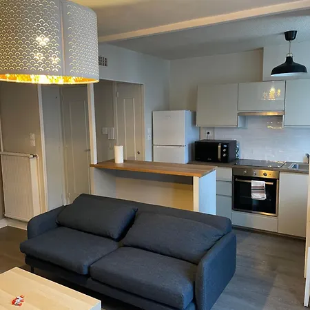 Apartment Alpes Nest -duplex 2 3 Lits Parking Gratuit Clim Mobile *