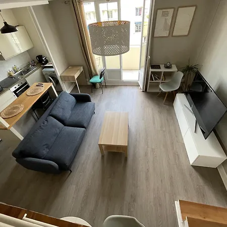Apartment Magnifique Duplex Avec 2 Et Parking Gratuit Grenoble